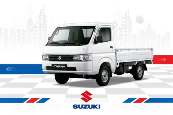 New Carry Pick Up New Carry Pick Up